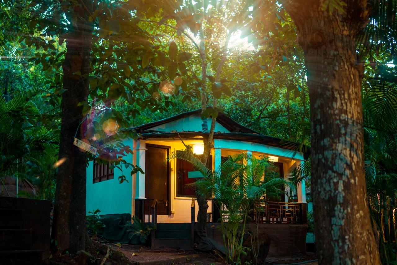 La La Land Resort Goa By Spicy Mango Palolem Buitenkant foto