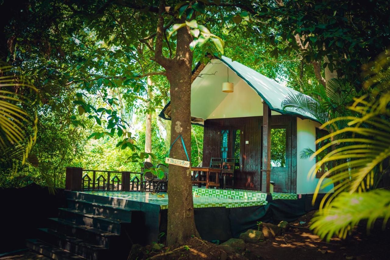 La La Land Resort Goa By Spicy Mango Palolem Buitenkant foto
